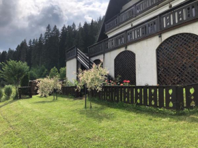 Bucovina Lodge Pension